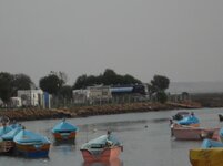 Morocco 2012 molay bousselham 002.jpg