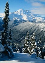 trees_snow_mountain (429 x 600).jpg