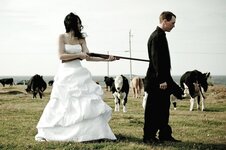 shotgun_wedding-620x413.jpg