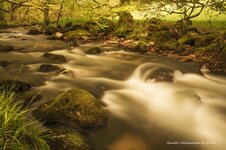 Golitha Falls Cornwall 4.jpg