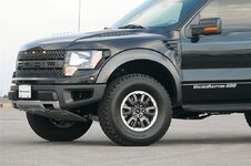 RAPTOR (Large).jpg