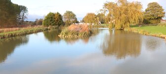 Withern Mill trout Farm - Lincolnshire