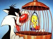 tweety bird.jpg