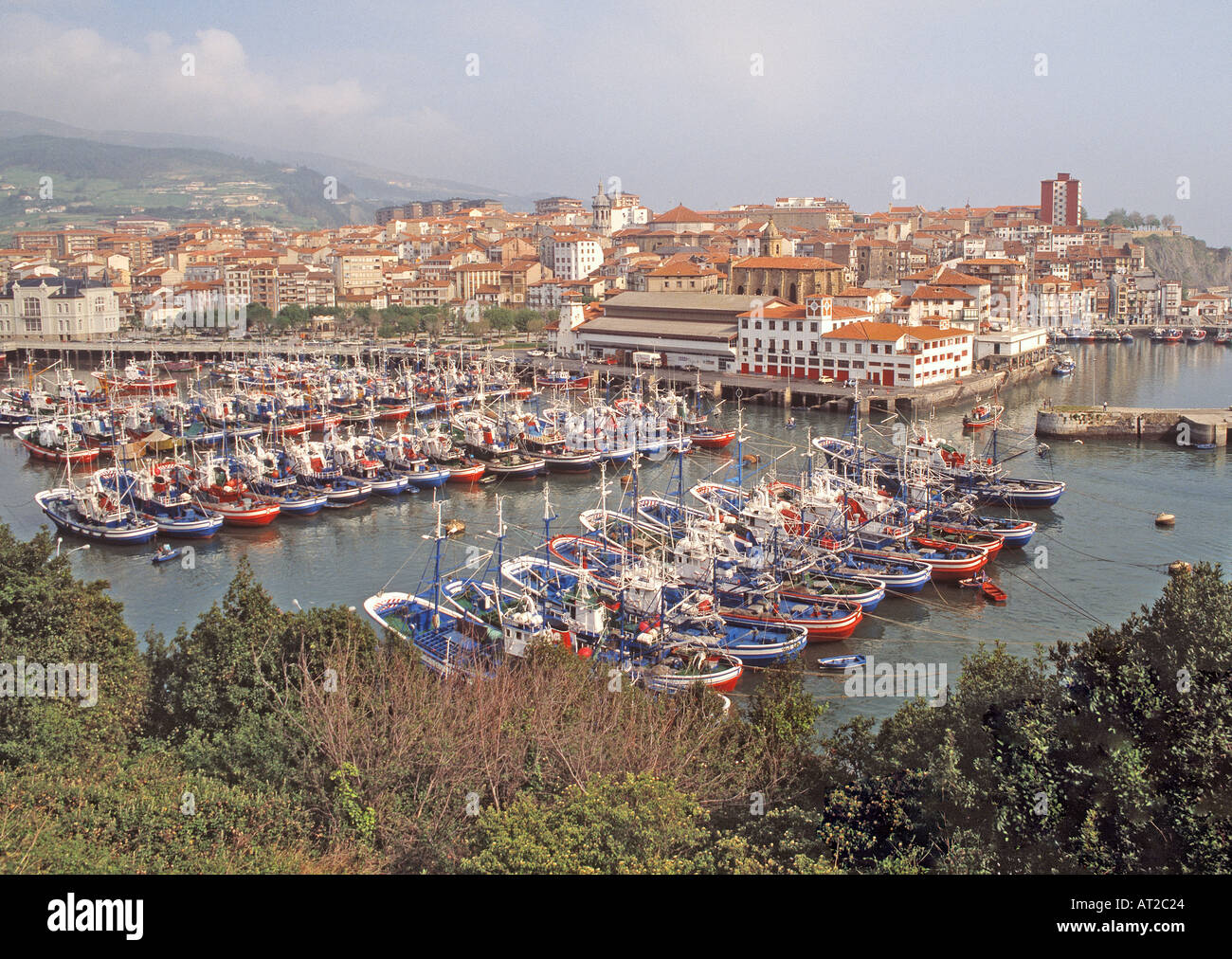 bermeo-vizcaya-province-spain-fishing-boats-in-harbour-AT2C24.jpg