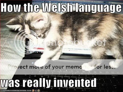 funny-pictures-kitten-invents-welsh.jpg