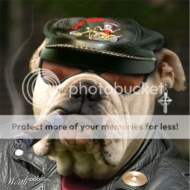 Bulldogbiker.jpg