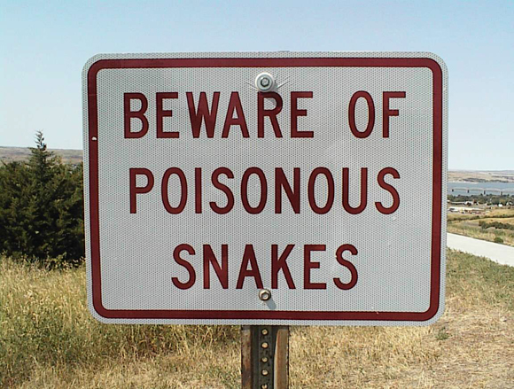 2-11-2013-poison-snakes.jpg