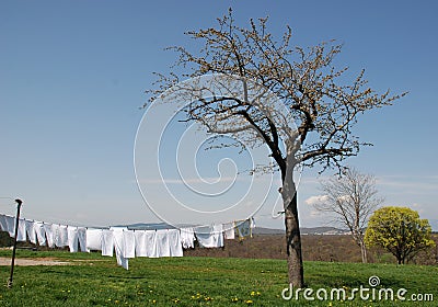 white-washing-clothes-line-9271960.jpg