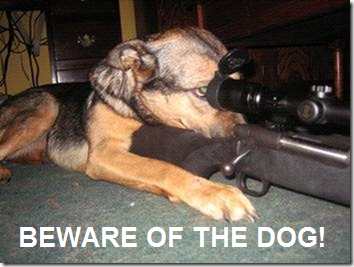beware-of-the-dog.png