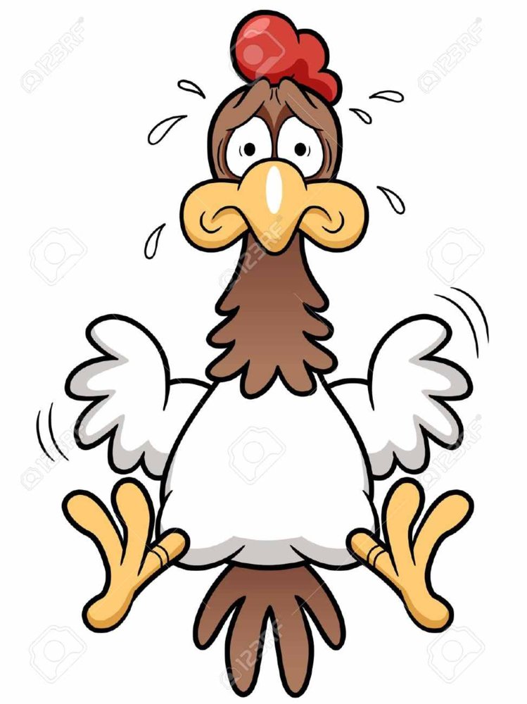 17948505-illustration-of-Cartoon-Cock-scared-Stock-Vector-chicken.jpg