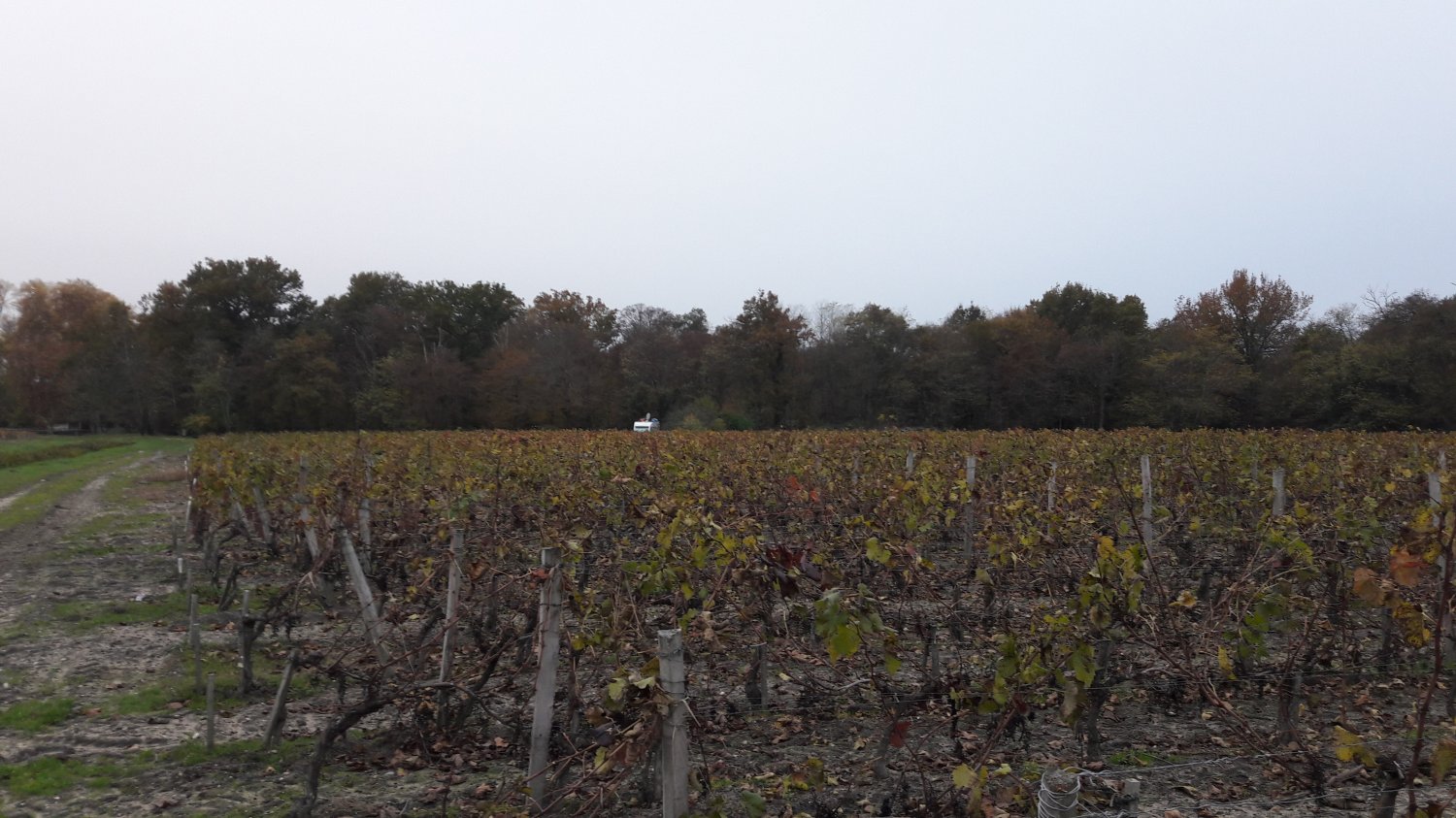 20161117_083250.jpg