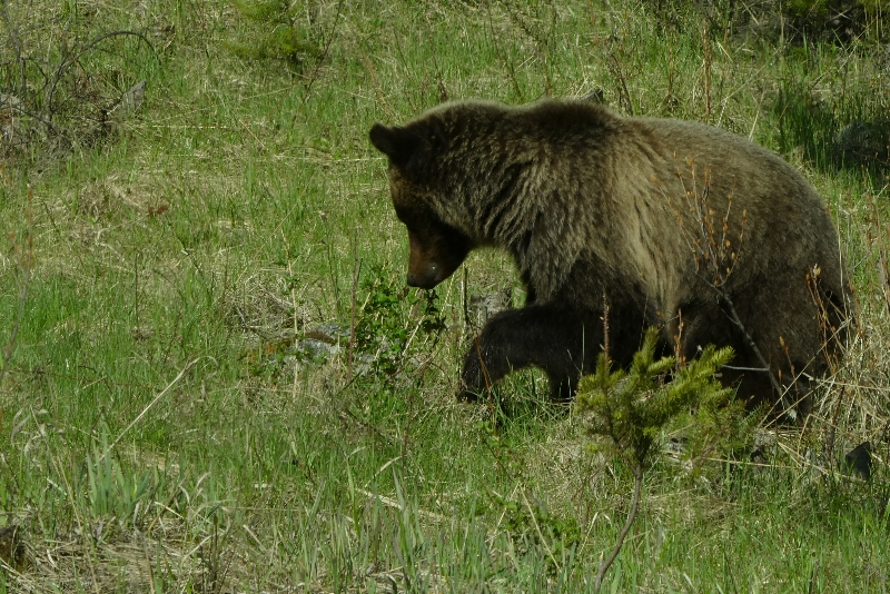 20220521121104_copy_800x534.jpg