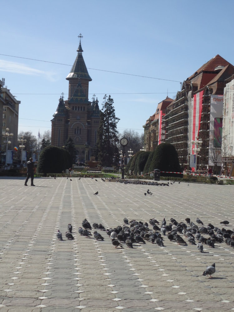 215 13-3-20 Timisoara Piata Victoriei.JPG