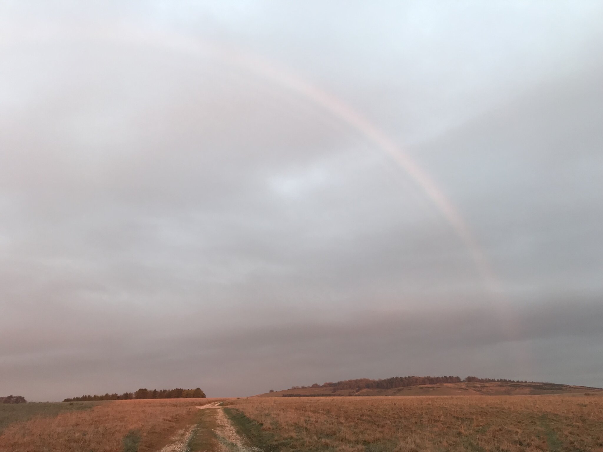 32B069B2-DBE9-4605-9C07-CDEC69516B46.jpeg