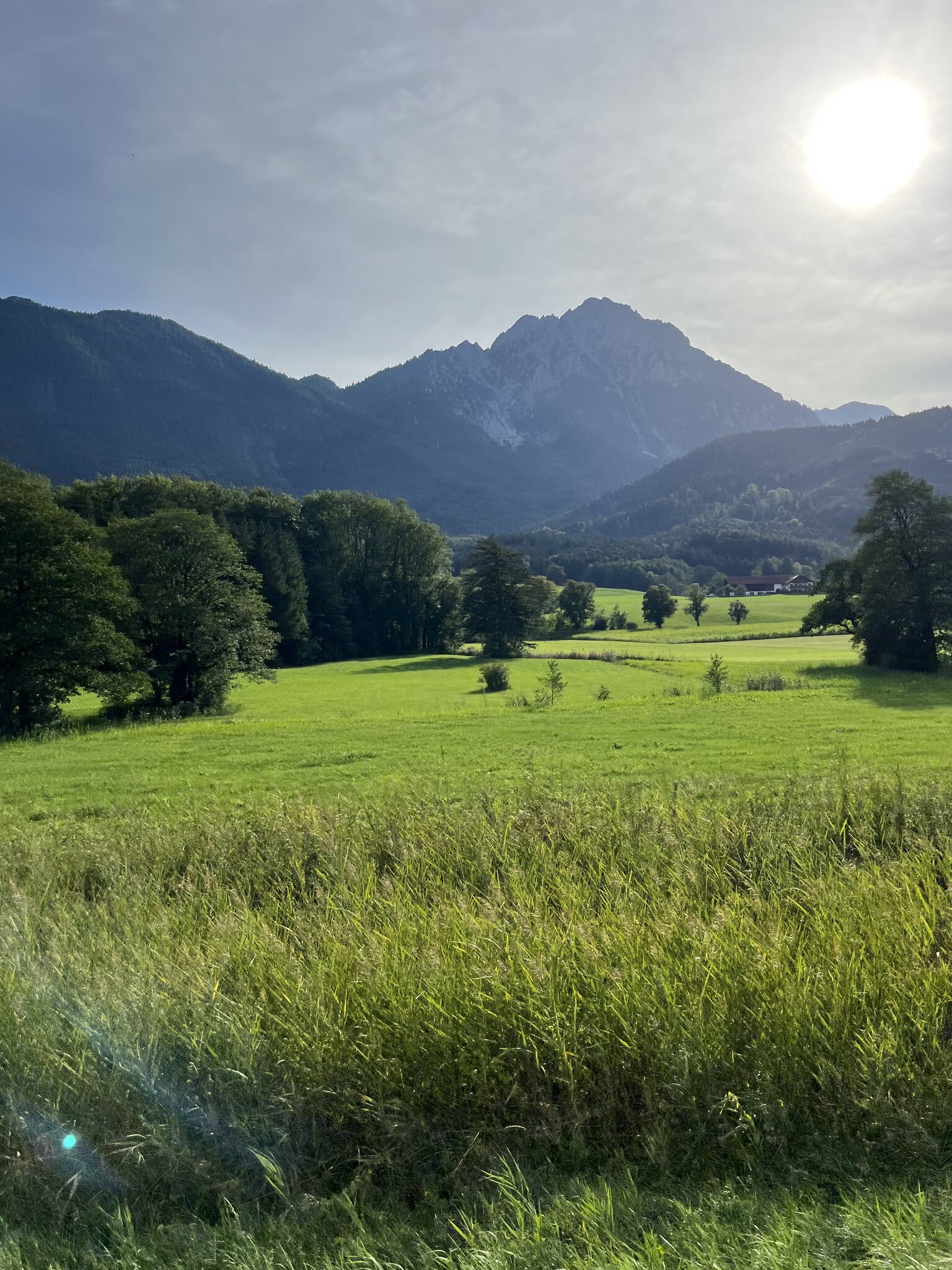 6DCEE90C-7262-4F2B-AE7C-D72FE895220F.jpeg