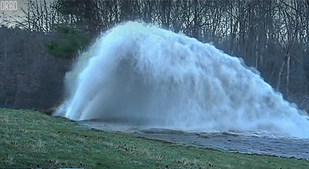 91F38B71-8C55-432A-AF40-D4E2C2ABA737.gif