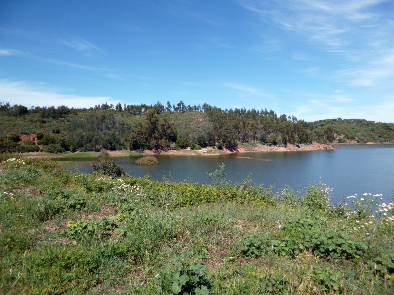 Barragem Do Pega Do Altar 200415 (5).JPG