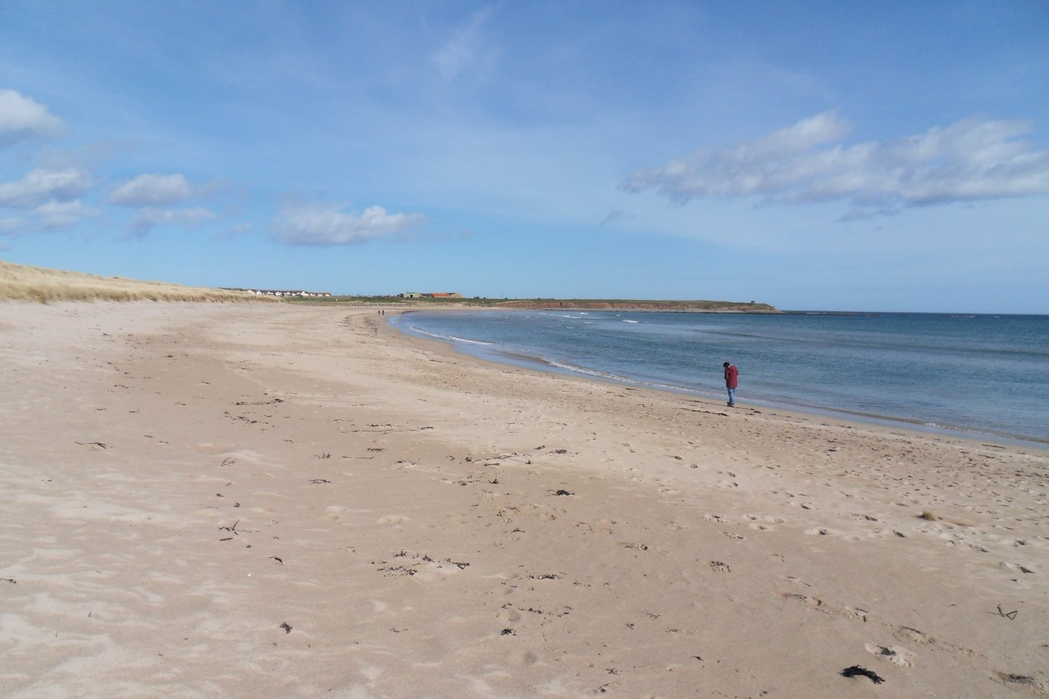 beadnell april5.JPG