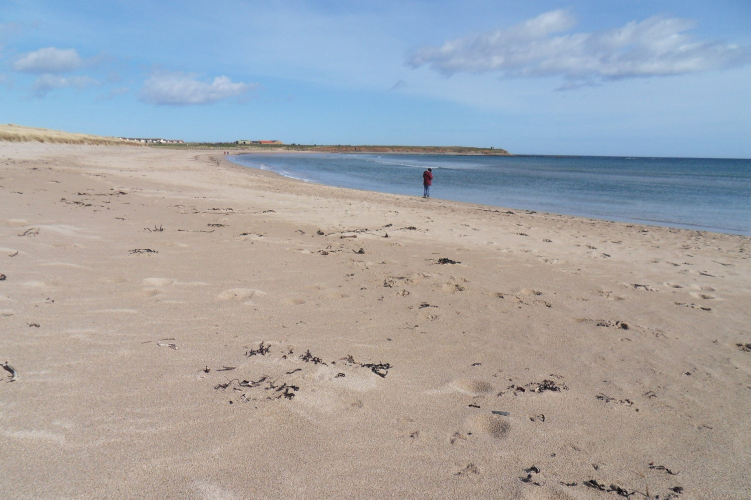 beadnell april6.JPG