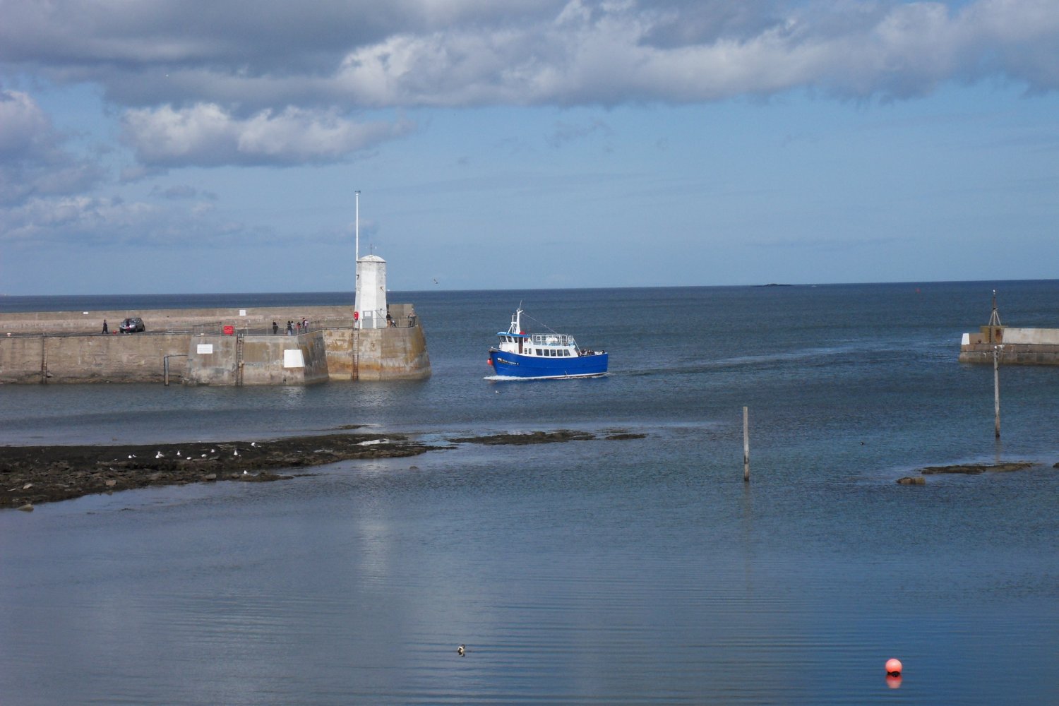 beadnell april7.JPG