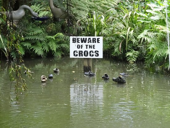 beware-of-the-crocs.jpg