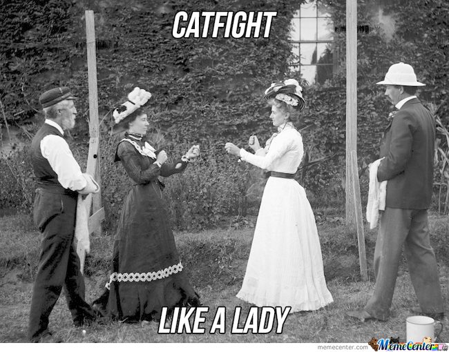 catfight_o_1951371.jpg