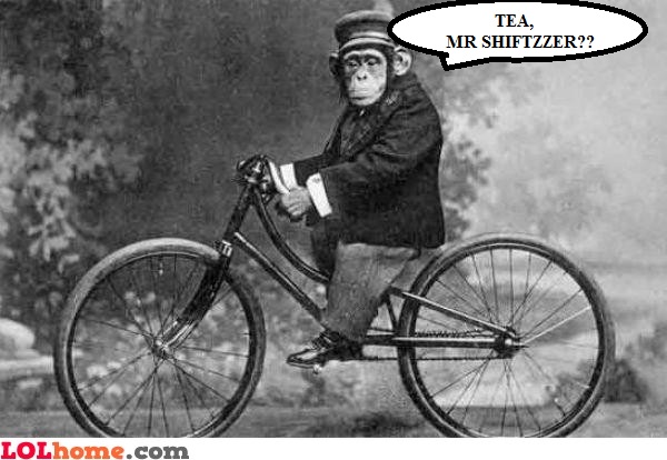 chimp-riding-the-bike.jpg