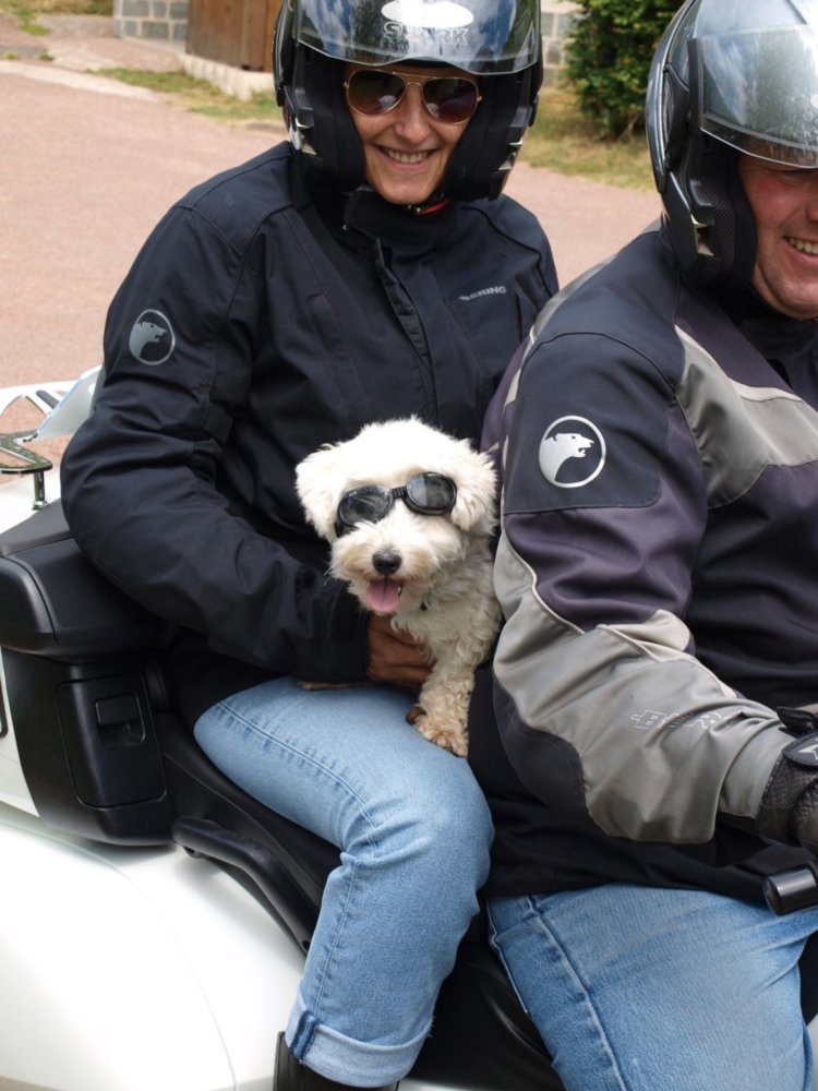 dog on bike 2.JPG