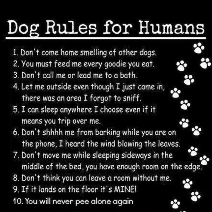 Dog Rules 2.jpg