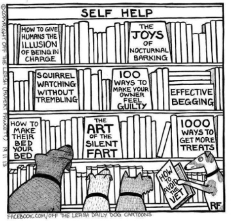 Dogs Reading Books.jpg