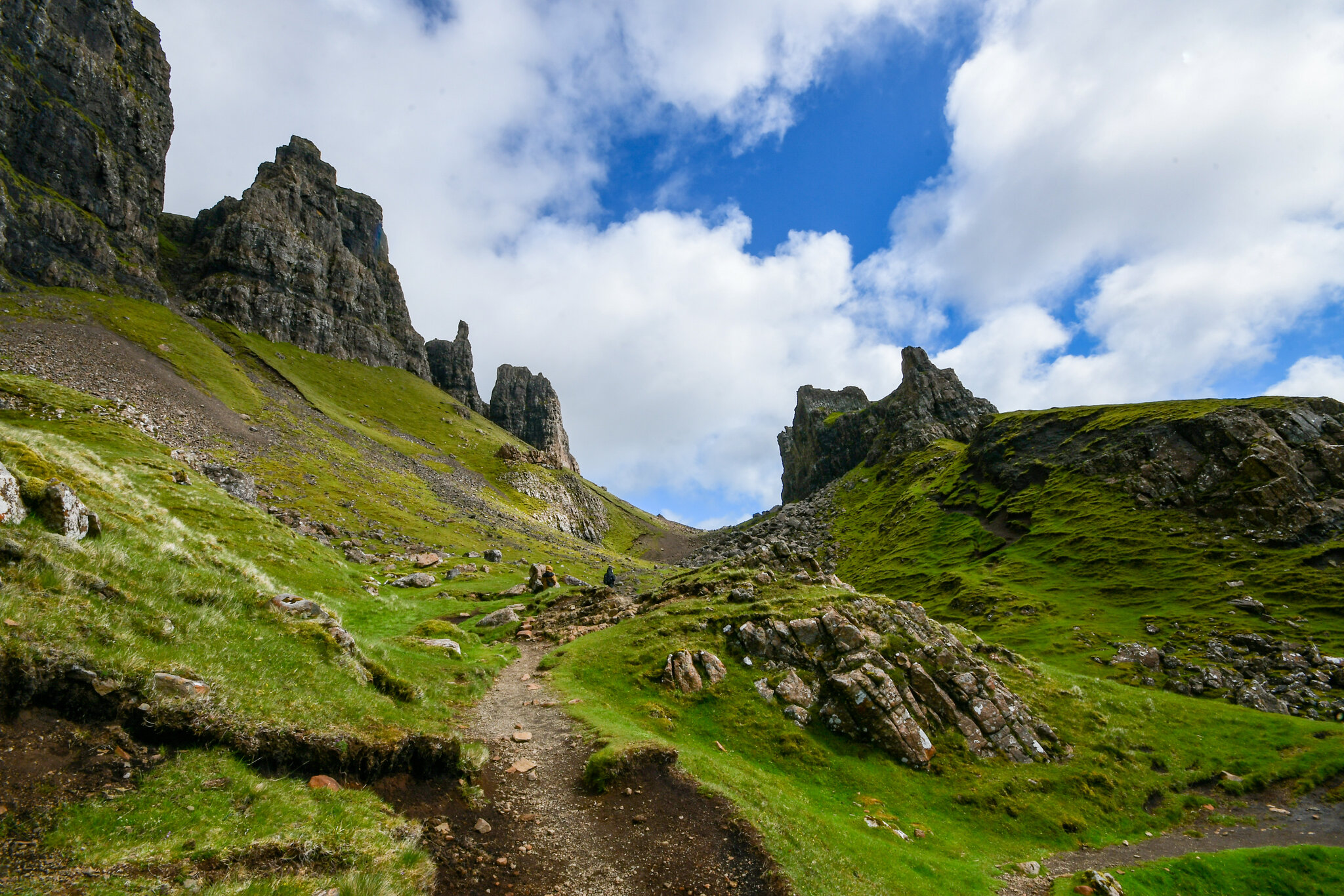 DSC_3160.jpg