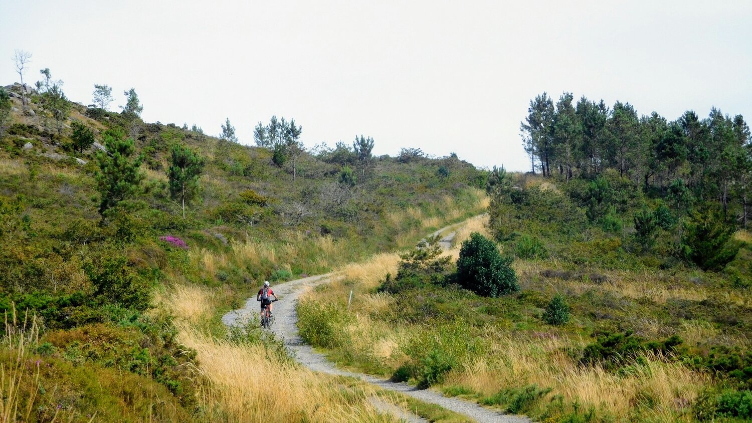 DSCN3226.JPG