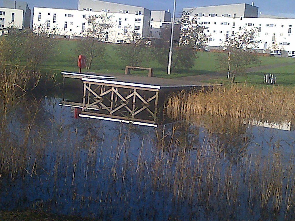 East Lothian-20141118-00434.jpg