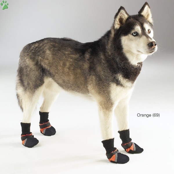 guardian-gear-dogs-boots-4-boots.jpg
