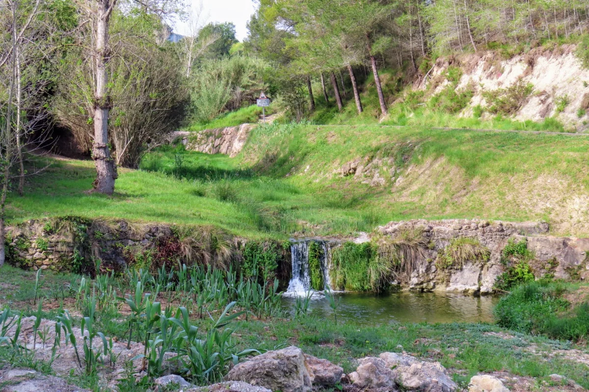 image.webp