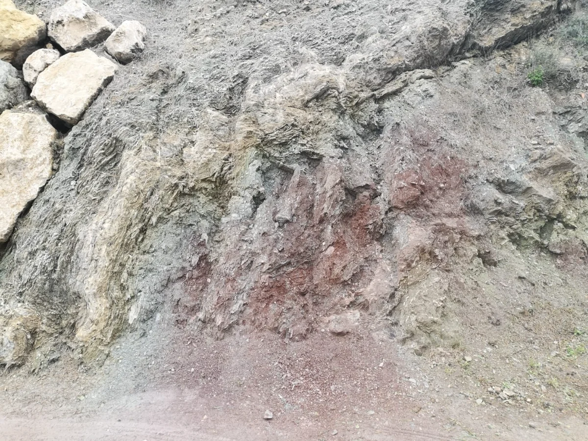 IMG-20250319-WA0011.webp