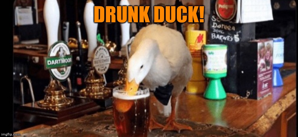 IMG_1377.jpeg