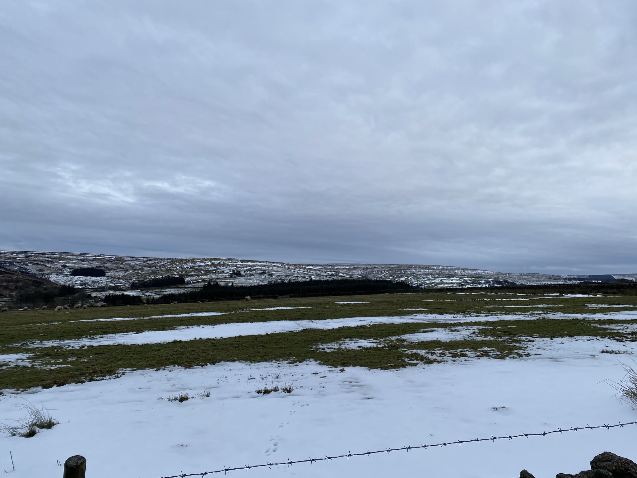 IMG_3065.jpeg
