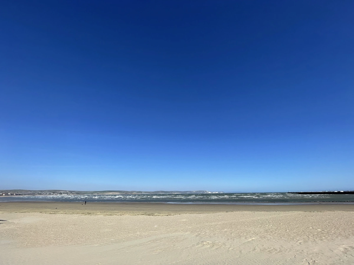 IMG_3733.webp
