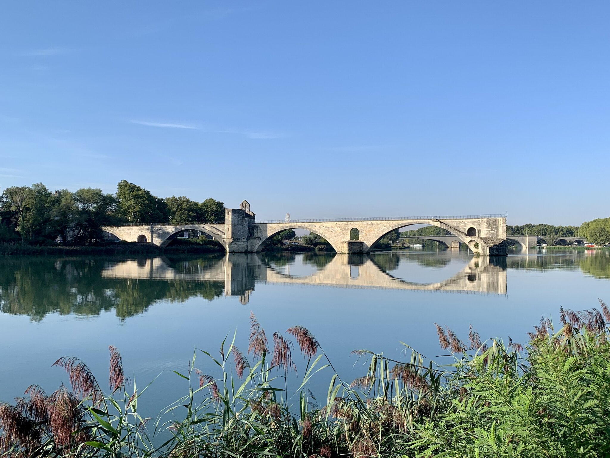 IMG_6765.jpeg