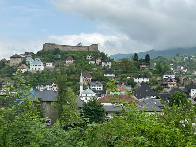 IMG_7019.jpeg