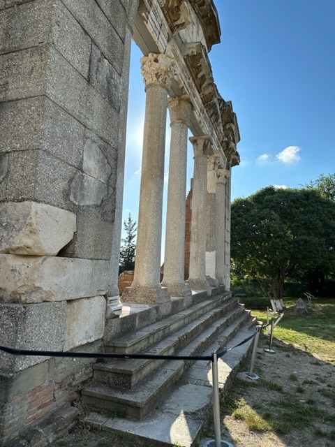 IMG_7432.jpeg