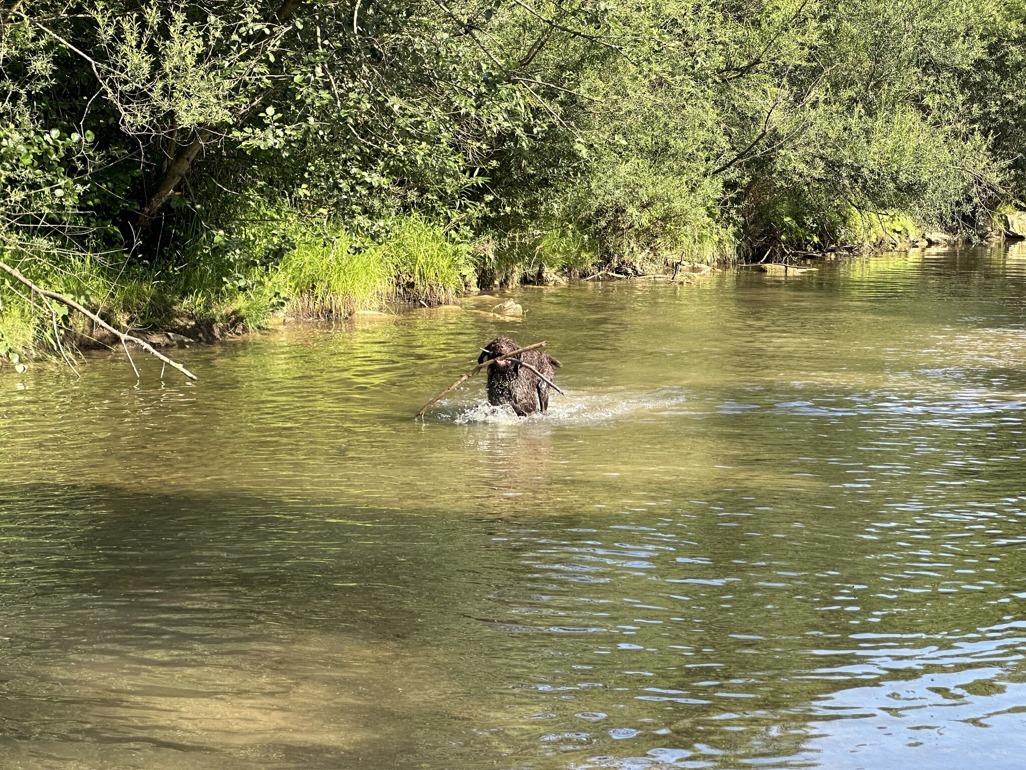 IMG_8015.jpeg
