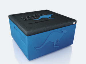 kangabox-easy-blue--131-p[ekm]300x222[ekm].png