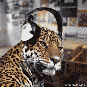 Leopard Headphones.gif