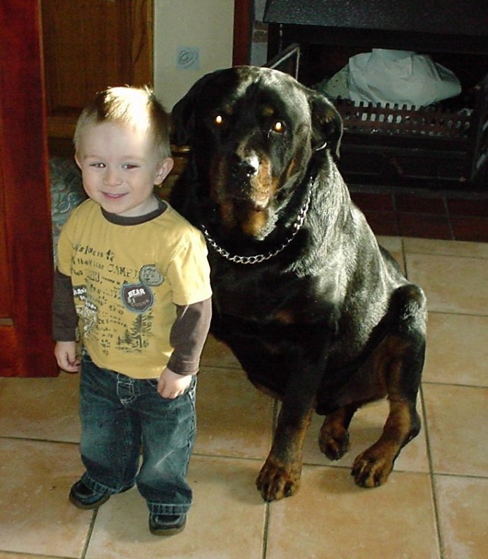 mat and dog 061206.JPG