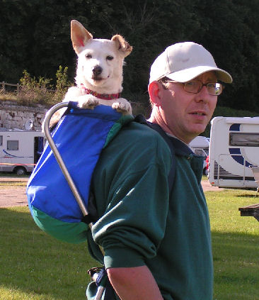 Midge in back-pack.jpg