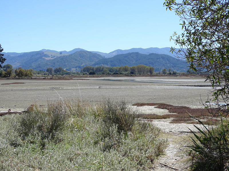 Motueka Tide Out March 2022.jpg