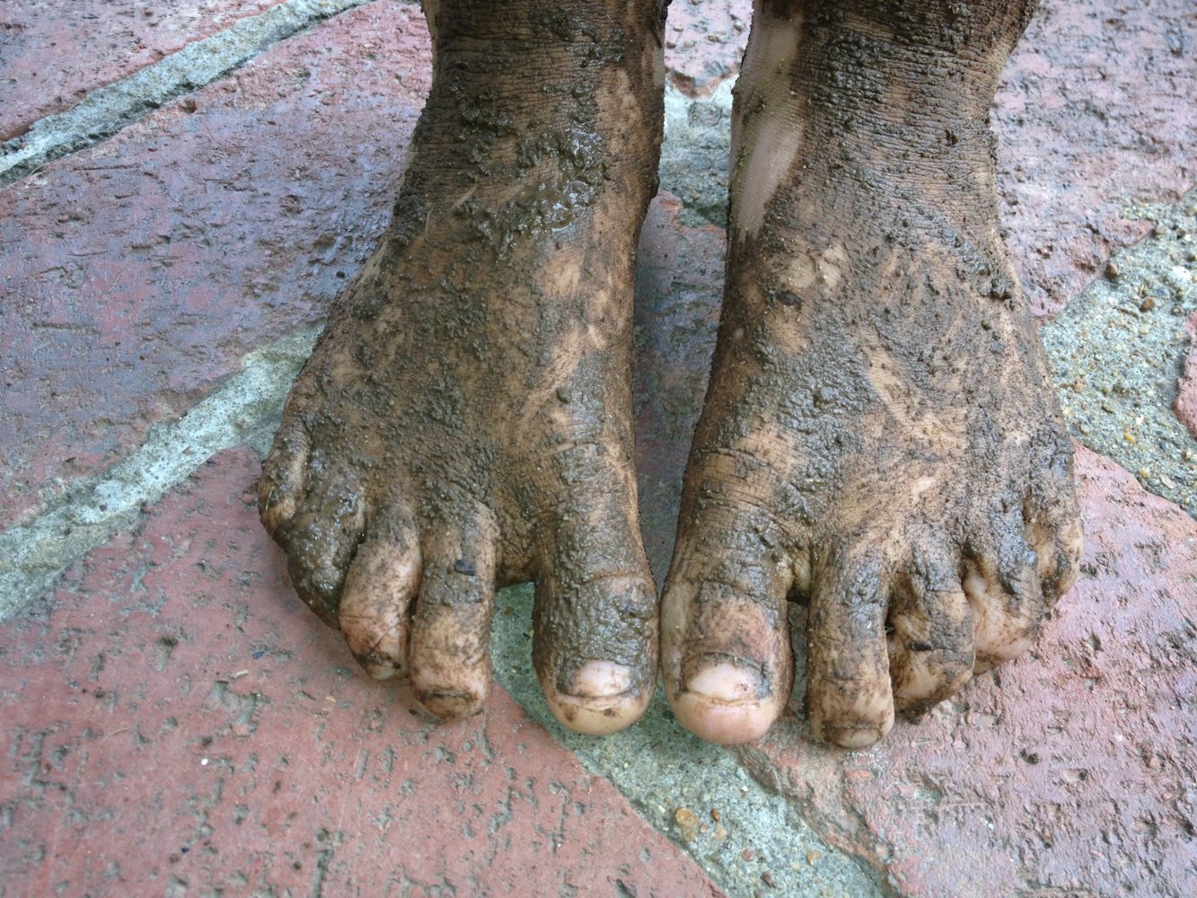 muddy-feet-2.jpg