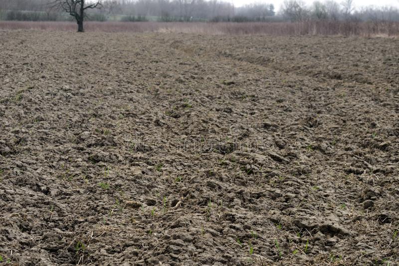 muddy-soil-field-background-selective-focus-muddy-soil-field-background-143209692.jpg